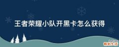 王者荣耀小队开黑卡怎么获得