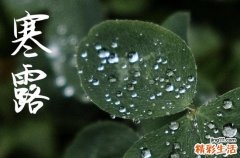 2023年10月8号寒露几点