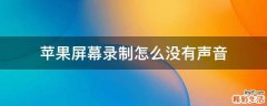 苹果屏幕录制怎么没有声音