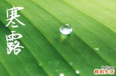2023年寒露是10月8日的几点几分