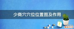 少商穴穴位位置图及作用