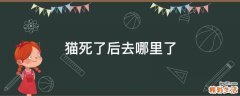 猫死了后去哪里了