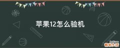 苹果12怎么验机