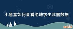 小黑盒如何查看绝地求生武器数据