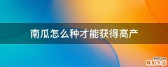南瓜怎么种才能获得高产