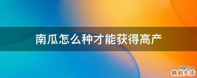 南瓜怎么种才能获得高产