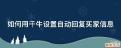 如何用千牛设置自动回复买家信息
