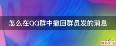 怎么在QQ群中撤回群员发的消息