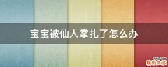 宝宝被仙人掌扎了怎么办