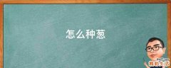怎么种葱