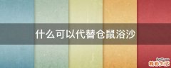 什么可以代替仓鼠浴沙