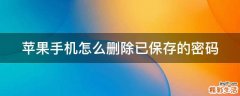 苹果手机怎么删除已保存的密码