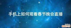 手机上如何观看春节晚会直播