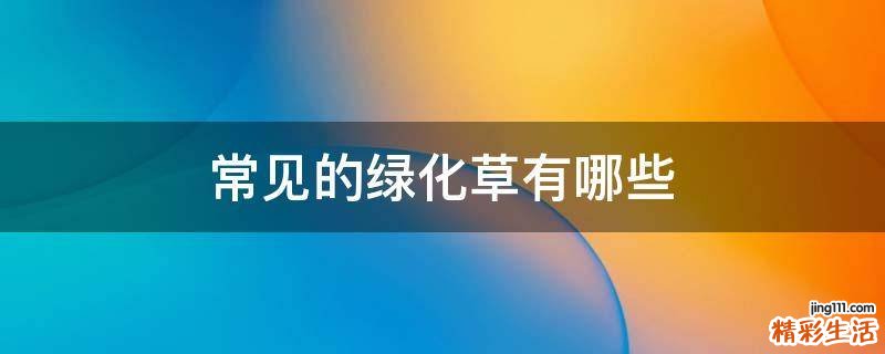 常见的绿化草有哪些