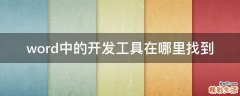word中的开发工具在哪里找到