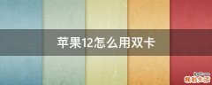 苹果12怎么用双卡