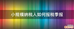 小规模纳税人如何报税季报