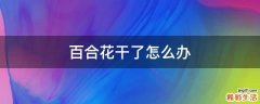 百合花干了怎么办