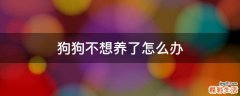 狗狗不想养了怎么办