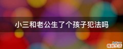 小三和老公生了个孩子犯法吗