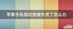 苹果手机指纹按键失灵了怎么办