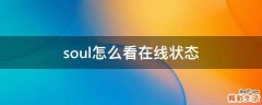 soul怎么看在线状态