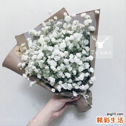 肠粉是用什么粉做的