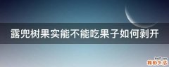 露兜树果实能不能吃果子如何剥开