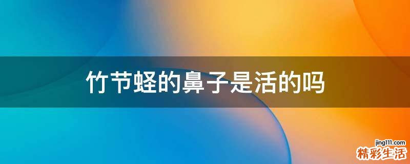 竹节蛏的鼻子是活的吗