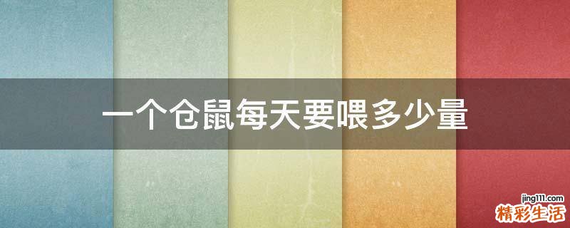 一个仓鼠每天要喂多少量