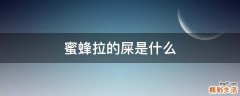 蜜蜂拉的屎是什么