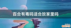 百合有毒吗适合放家里吗