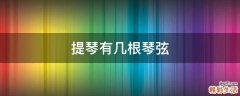 提琴有几根琴弦