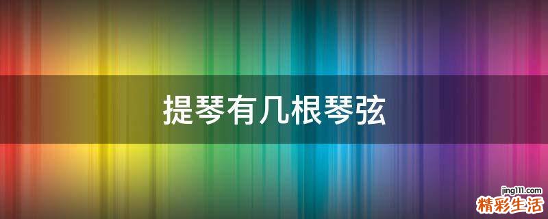 提琴有几根琴弦
