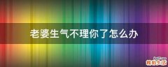 老婆生气不理你了怎么办