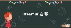 steamurl在哪