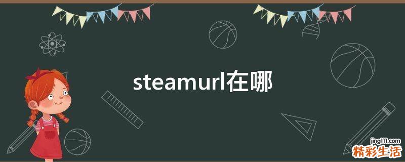 steamurl在哪