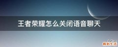 王者荣耀怎么关闭语音聊天