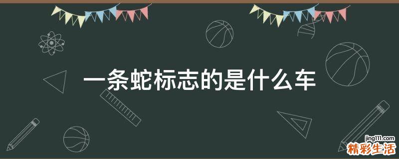 一条蛇标志的是什么车