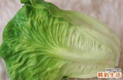 生菜能放多久