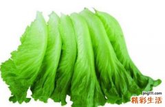 生菜哺乳期可以吃吗