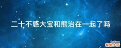 二十不惑大宝和熊治在一起了吗