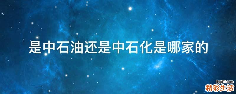 是中石油还是中石化是哪家的