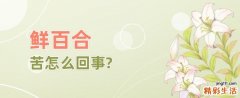 鲜百合苦怎么回事 女人吃百合有啥好处