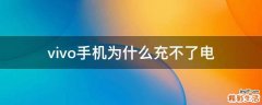 vivo手机为什么充不了电