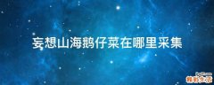 妄想山海鹅仔菜在哪里采集