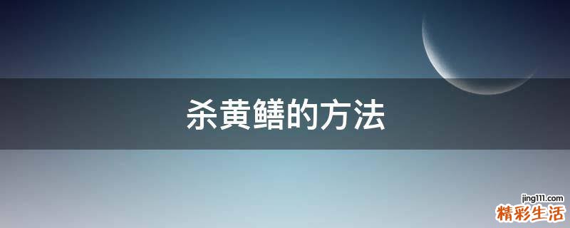 杀黄鳝的方法