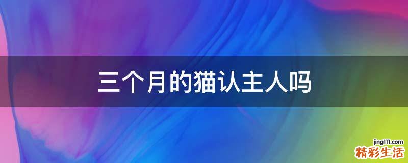 三个月的猫认主人吗