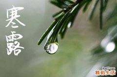 2023寒露属于8月还是9月