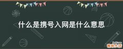 什么是携号入网是什么意思